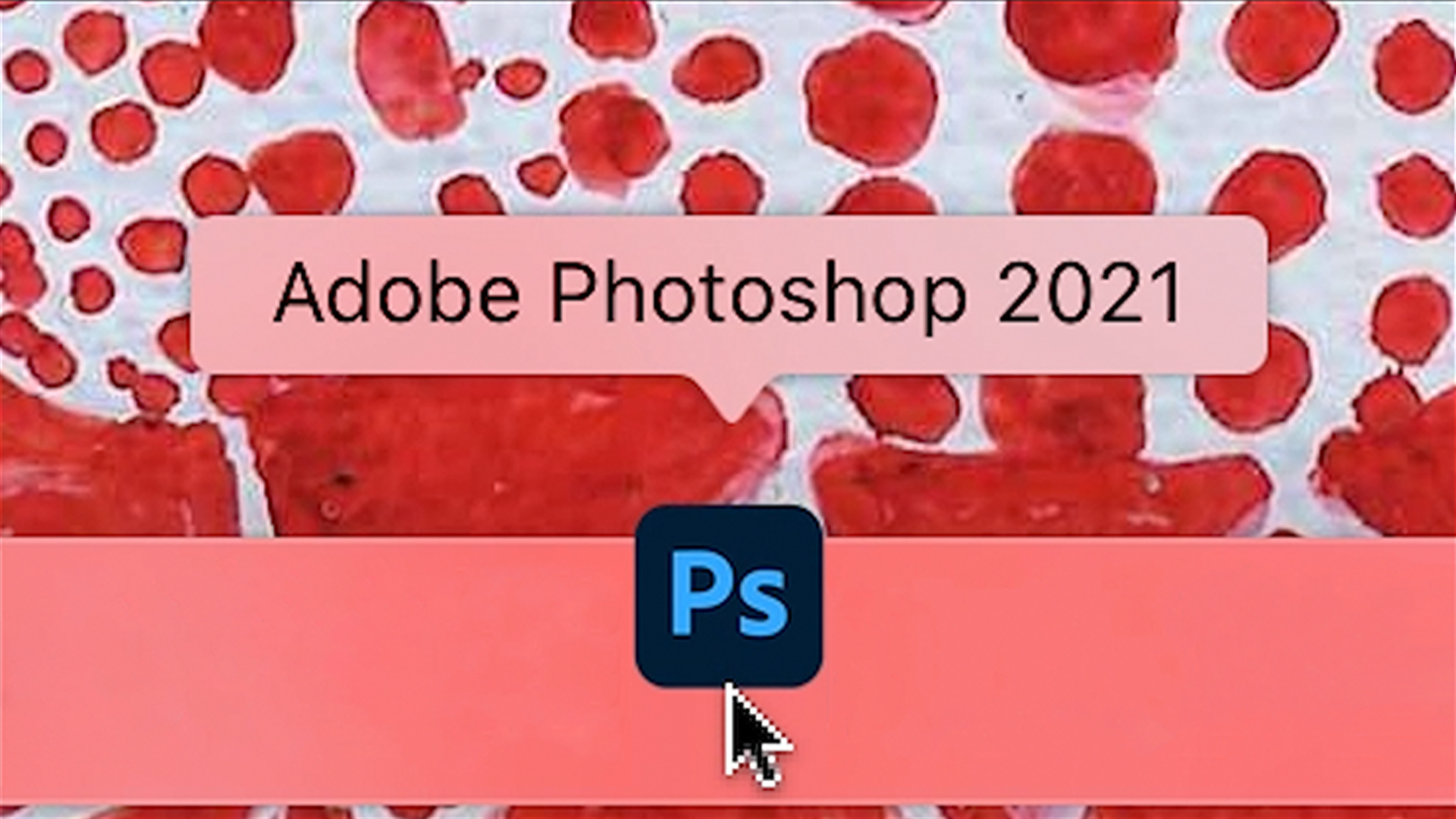 Adobe Photoshop的简介、安装及快捷键