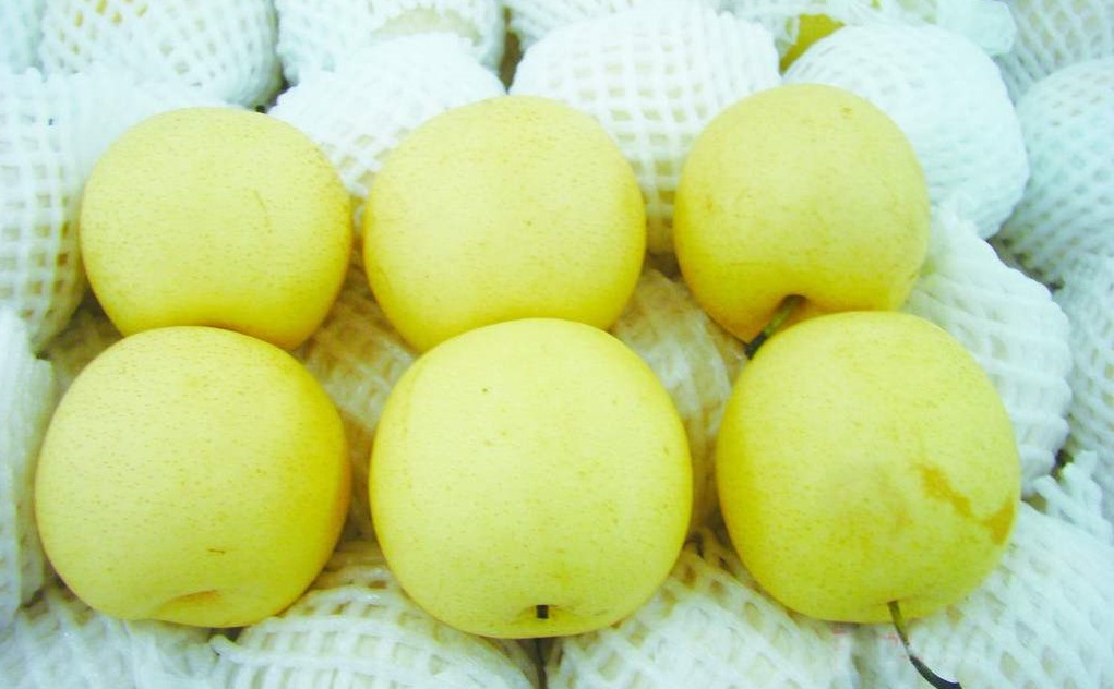 明亏暗赚！用连环返钱模式套住顾客，不断进店不断消费