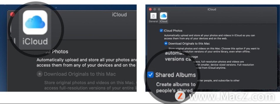 如何在 iPhone、iPad、Mac 和 PC 上设置 iCloud 照片共享？