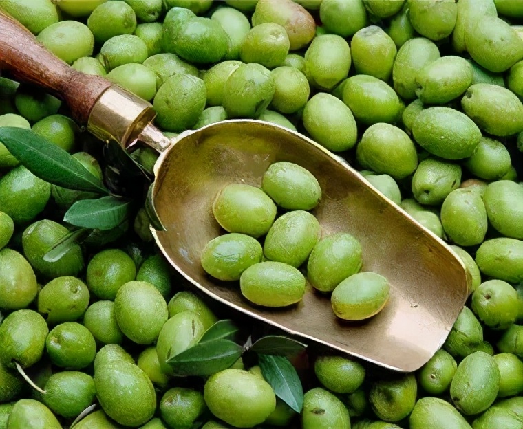 日化业刮起了伊比利亚风，白猫佳美要走品牌年轻化之路了