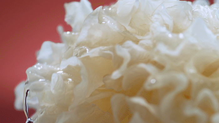 喜多多登陆分众抢占银耳赛道 吃出润美胶颜