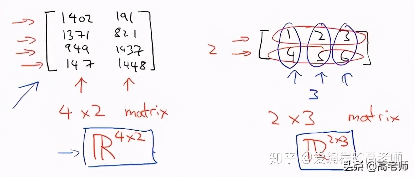 线性代数基础——矩阵、向量