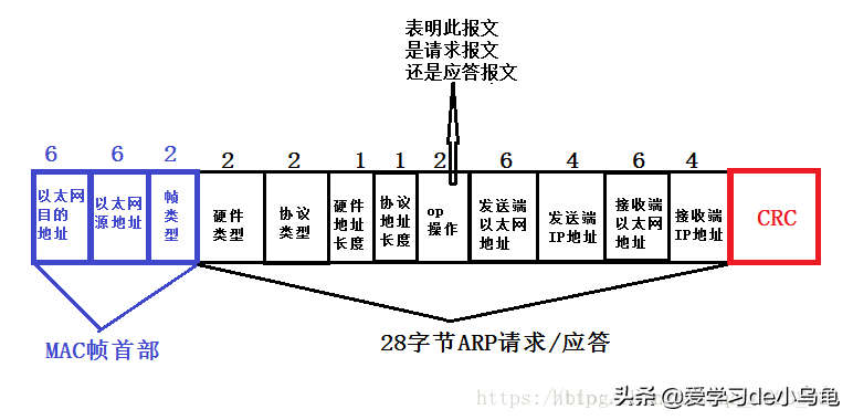 MAC地址；地址解析协议（ARP）；以太网；链路层交换机