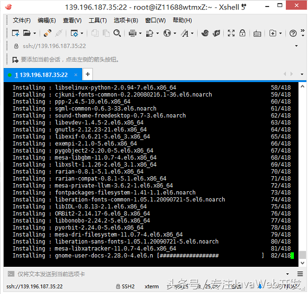 阿里云ECS CentOs6.8 安装GNOME桌面和VNC Server