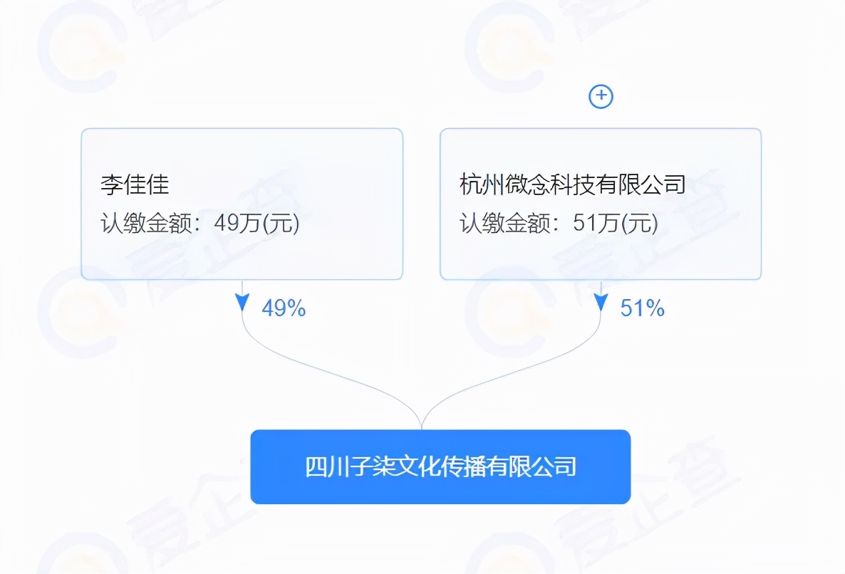 断更的“李子柒”，心慌的李佳佳