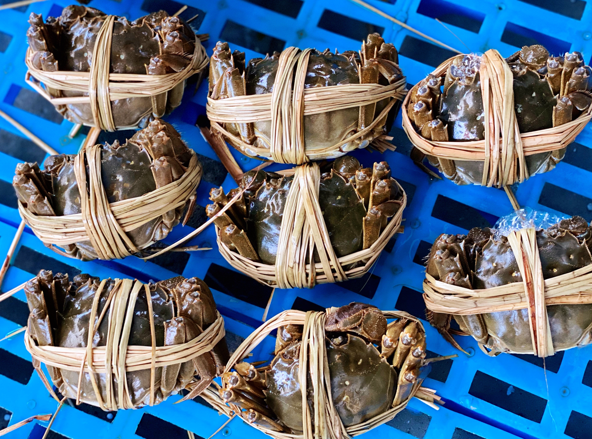 源头好货进万家：拼多多“标准分级”赋能“新农货”