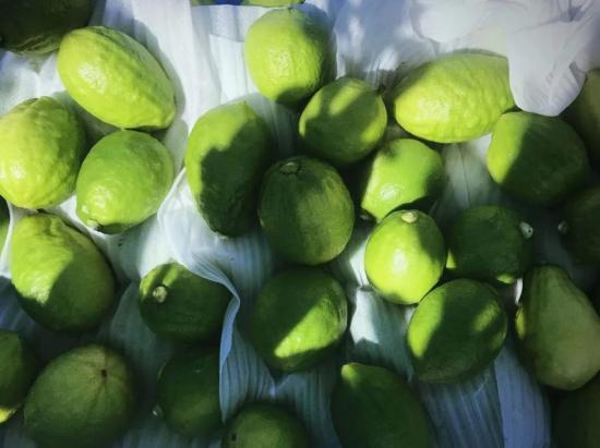 被“暴打”出圈的柠檬茶，扛得住一窝蜂来“打”吗？