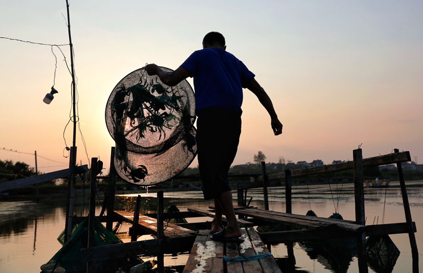 源头好货进万家：拼多多“标准分级”赋能“新农货”