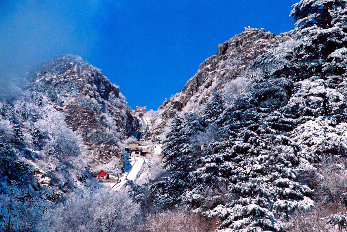 我43岁，不干记者卖保健品月入过万，但没对象成别人眼中的怪女人