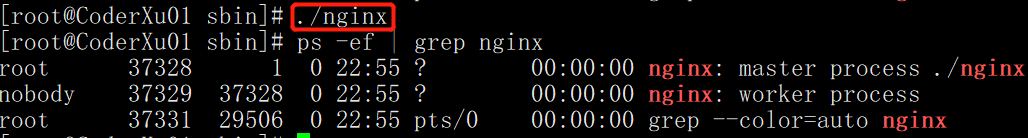 Nginx学习笔记详解：反向代理，负载均衡，动静分离