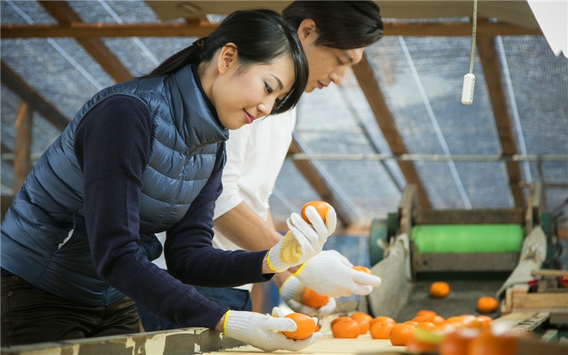 家庭办厂，现在有哪些项目投入少、收益高，比较适合农村创业的？