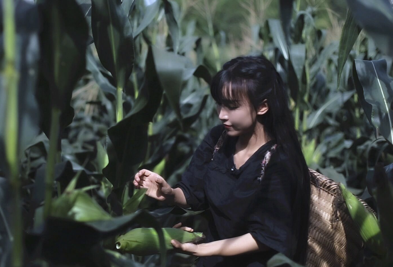 “消失”68天，李子柒对决资本，她最终只是白忙活了一场？