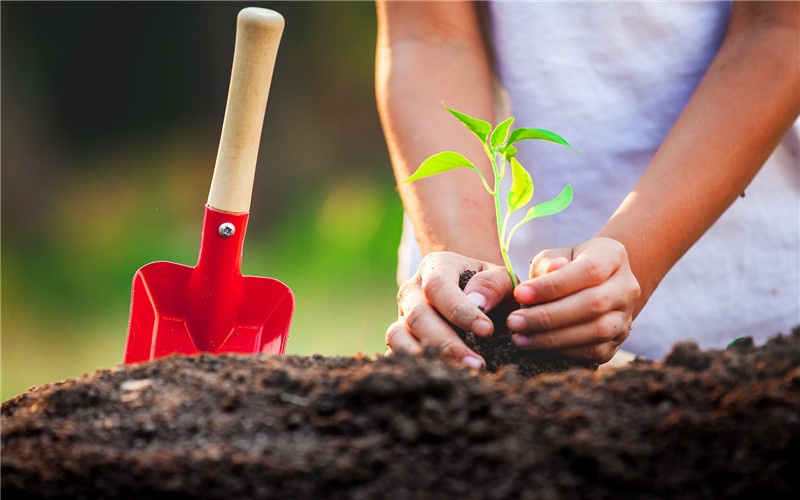 家庭办厂，现在有哪些项目投入少、收益高，比较适合农村创业的？