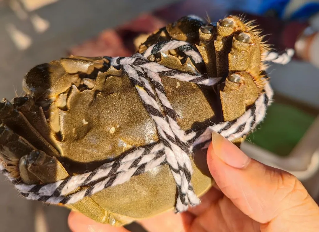 社交硬通货、千亿大市场，为何就找不出下一个“阳澄湖”？