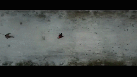 视频导出GIF动图pr教程 80%的伙伴都还不知道这种功能吧