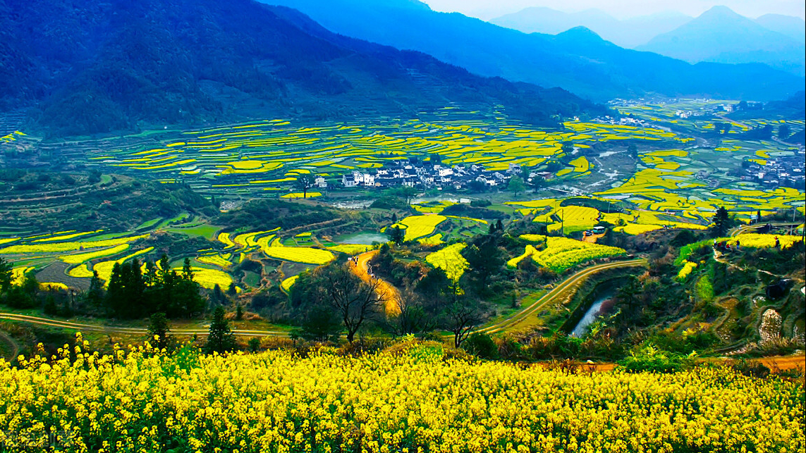 农村产业融合发展相关理论