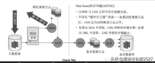 Oracle DG传输方式