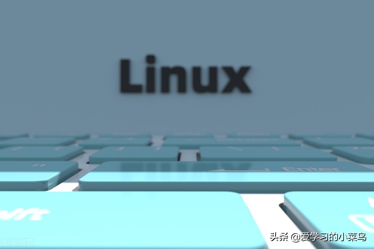 linux命令之文件操作