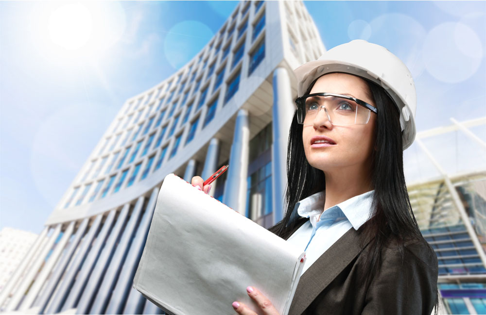 10年来，最热门的本科专业有哪些？哪些专业收入最高？