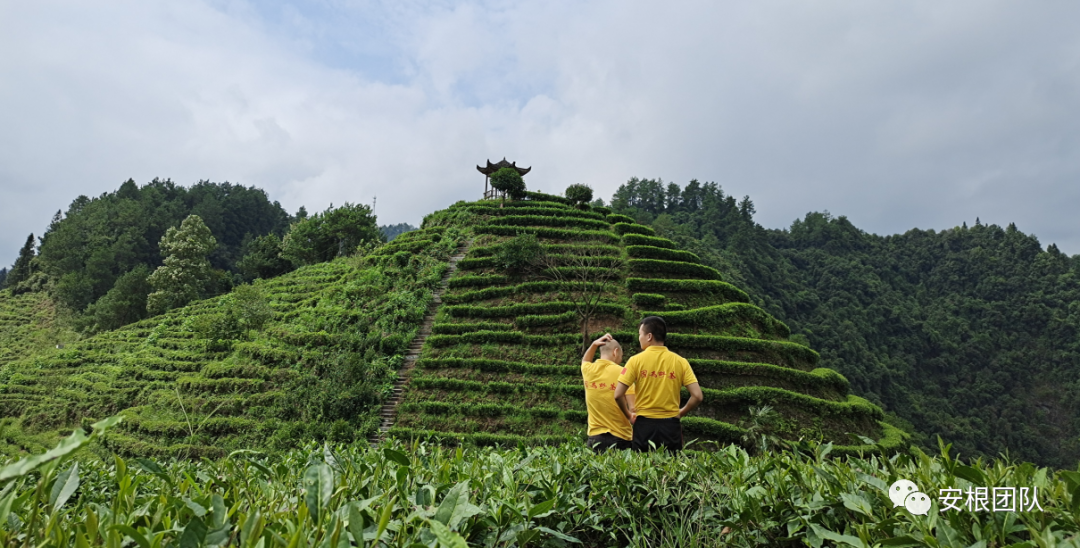 农村产业融合发展相关理论