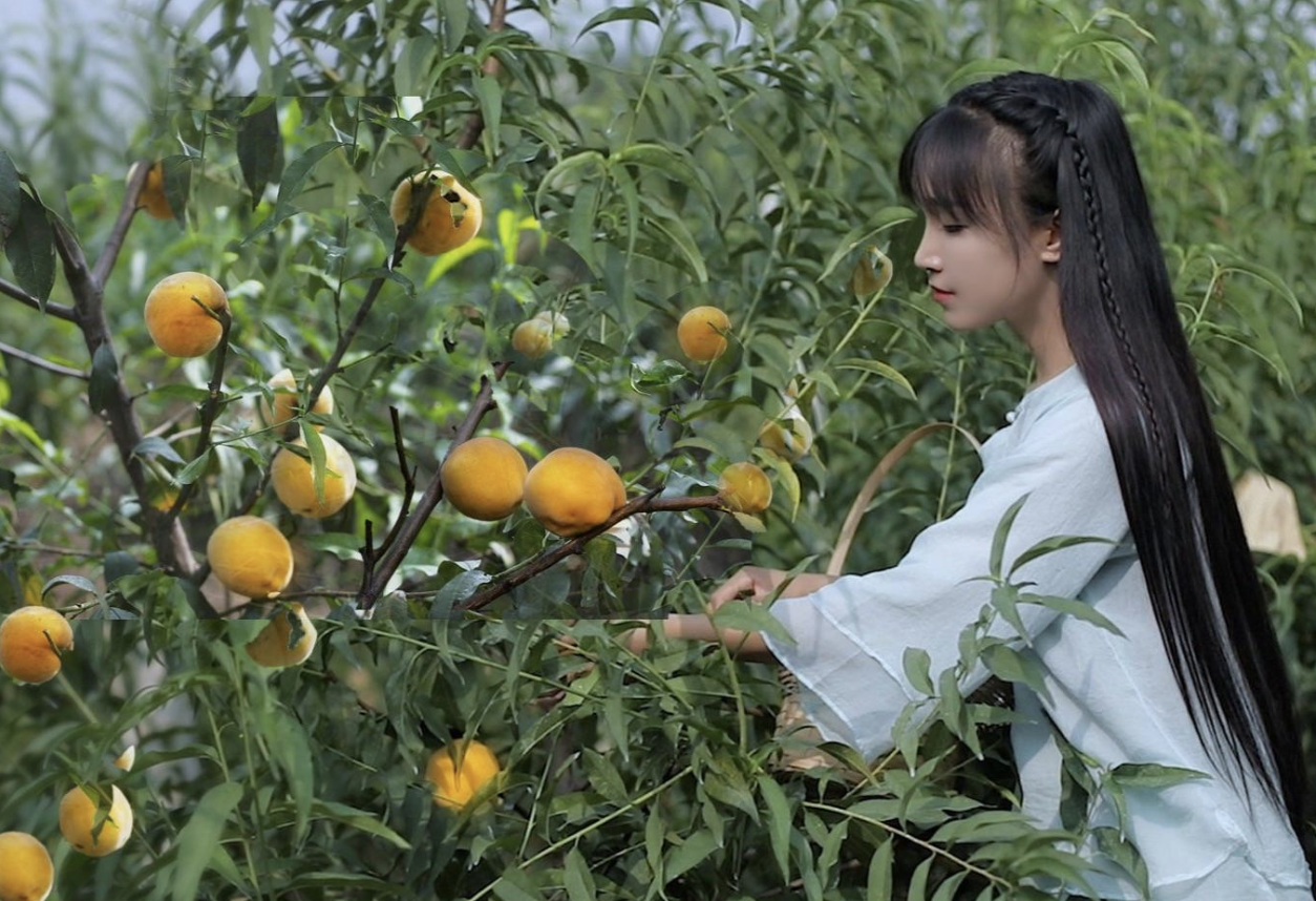 断更三个月后，李子柒告了微念！她能拿回“李子柒品牌”吗？