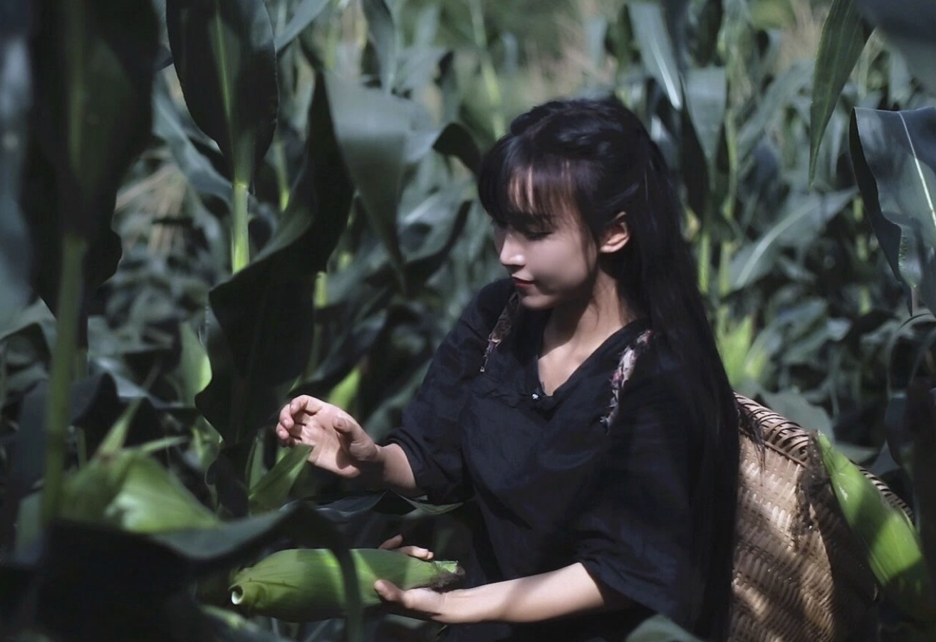 断更三个月后，李子柒告了微念！她能拿回“李子柒品牌”吗？