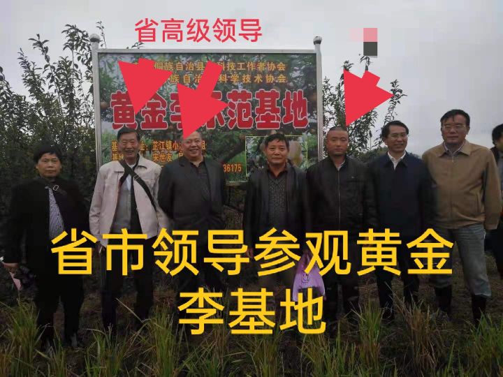 这些常见项目真的很赚钱，只可惜了解的人不多，速来看