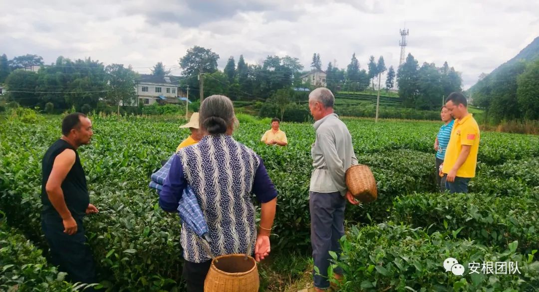 农村产业融合发展相关理论