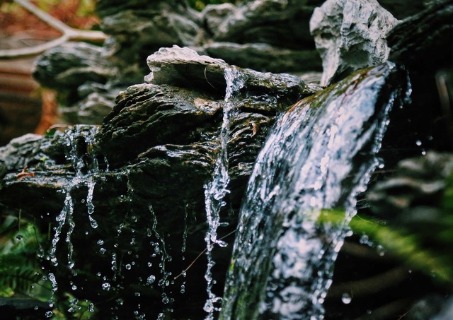 这些常见项目真的很赚钱，只可惜了解的人不多，速来看