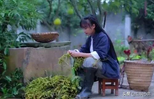 李子柒：好多的事情都是机缘，没有一段是白走的路，我很幸运