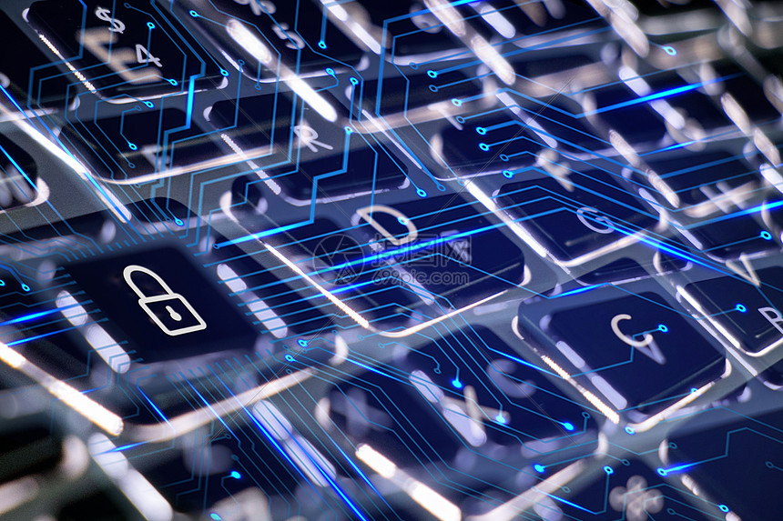 10年来，最热门的本科专业有哪些？哪些专业收入最高？