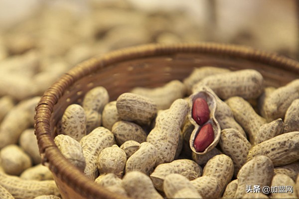 小作坊加工什么挣钱