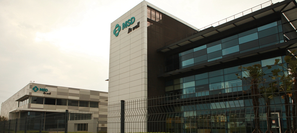 最炙手可热的女人生意，吸金能力让玻尿酸都自愧不如