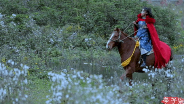 普通人如何抓住视频号的红利？