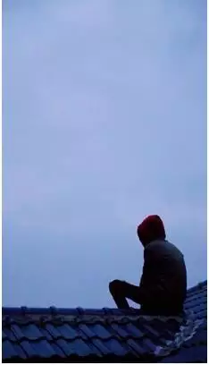 经常玩抖音的朋友们，你们知道抖音十大网红有谁吗？