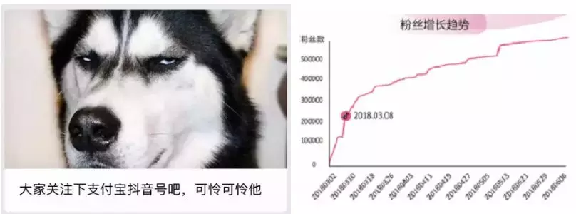 一条抖音为品牌带来2.7亿次曝光？企业抖音蓝V最全攻略！