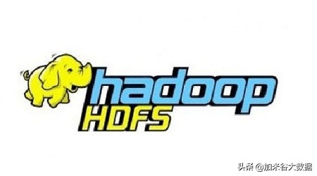 大数据开发学习，Hadoop-HDFS详细介绍