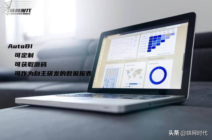 数据可视化中的自定义表单设计该怎么做