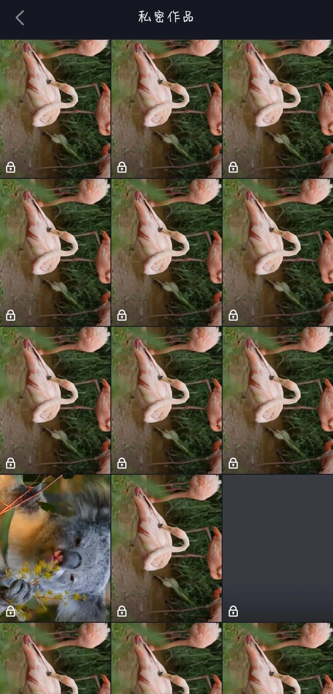 如何让自己的抖音视频更高清？测试一天后，偷偷告诉你