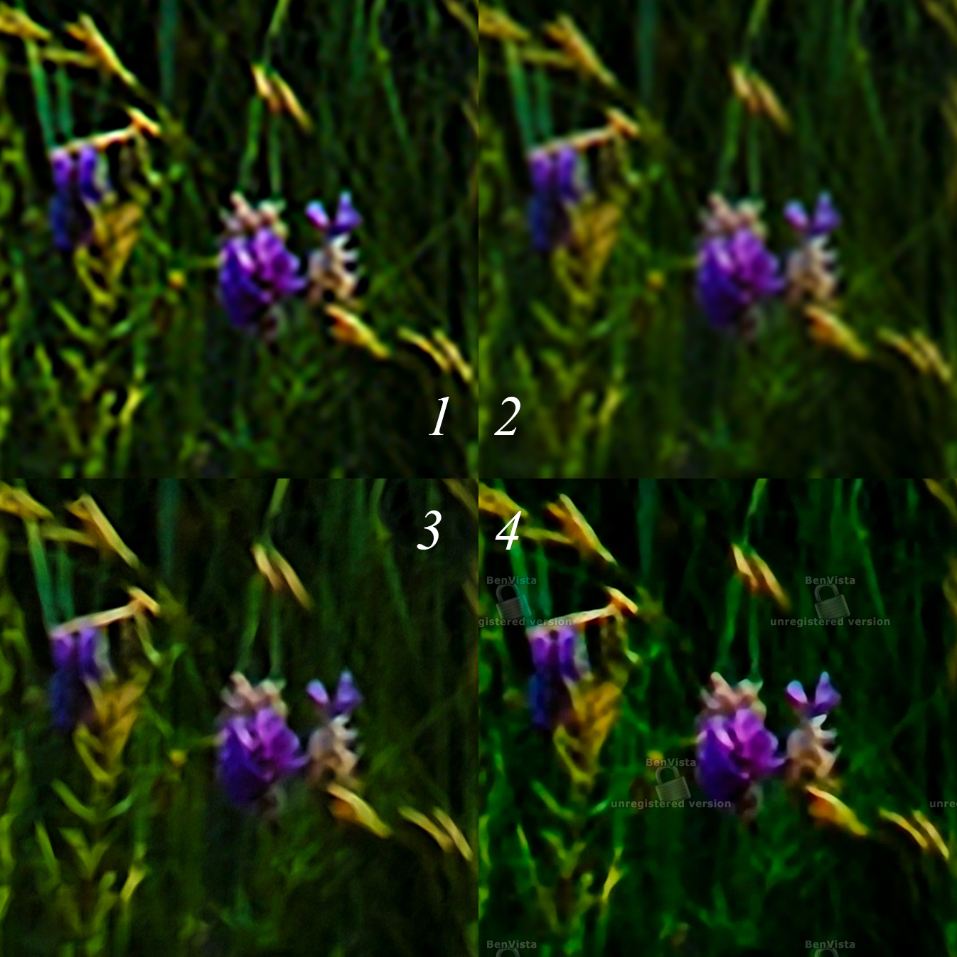 如何在PS中实现照片无损放大？多种放大技法效果实测对比！