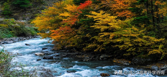 抖音怎么玩？玩抖音常见的八个问题，附详细解决方法