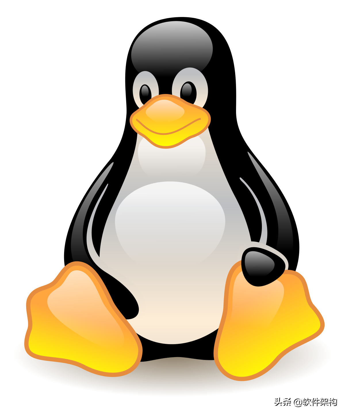 Linux 软件安装到 /usr，/usr/local/ 还是 /opt 目录？