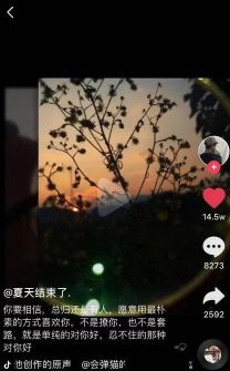这条抖音短视频，仅标题有文案，视频内容并无一字，点赞216.4W