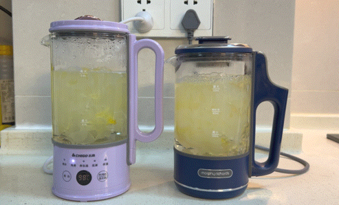 2021年迷你养生壶推荐，哪个牌子好？内附详细选购指南