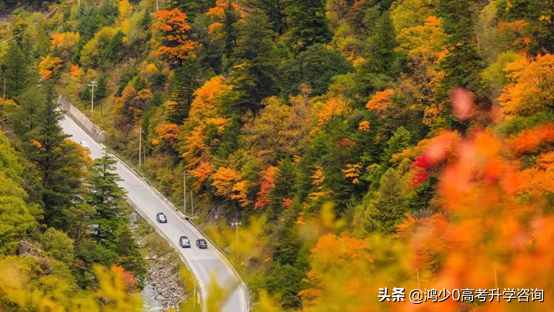 抖音怎么玩？玩抖音常见的八个问题，附详细解决方法