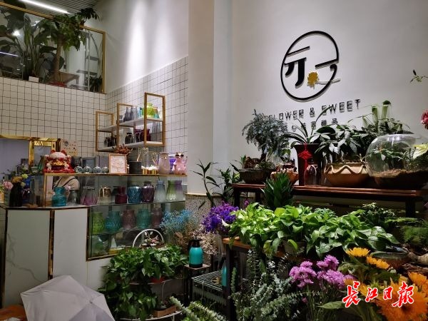 白天上班，晚上学才艺！成人培训成武汉“夜经济”新亮点