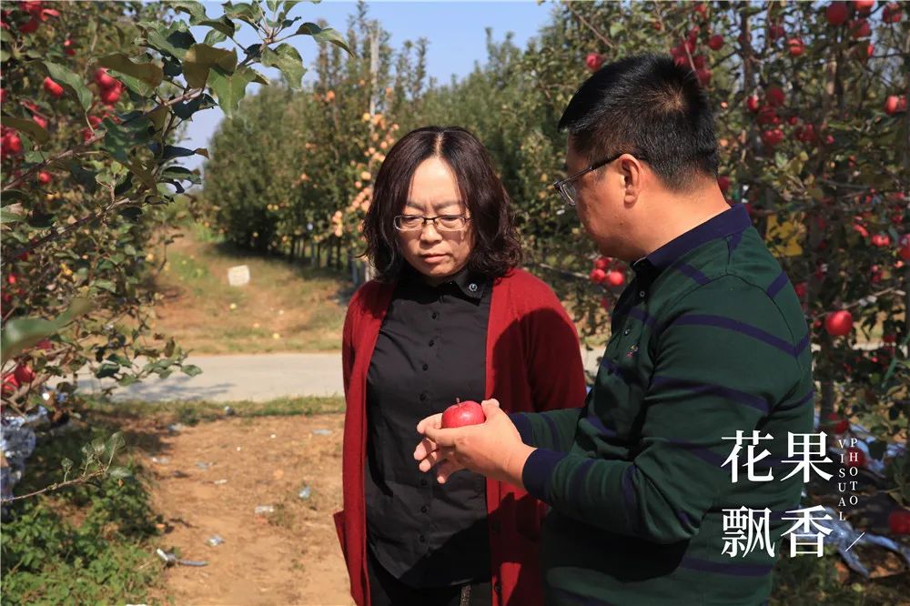 一箱顶三箱，水果品牌运营如何才能挣回9位数的投资？