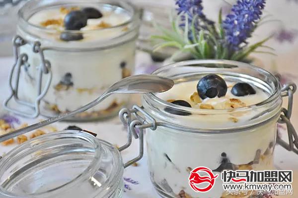 酸奶加盟店10大品牌都有哪些？