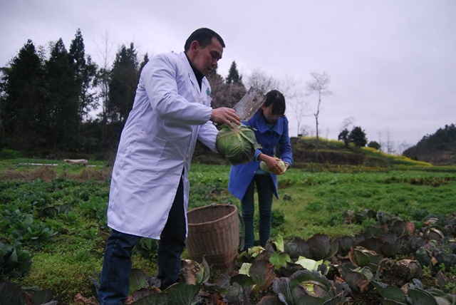 绿色食品“乐滋滋”是如何走上百姓餐桌的？答案在这里