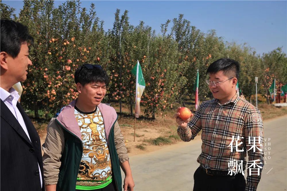 一箱顶三箱，水果品牌运营如何才能挣回9位数的投资？